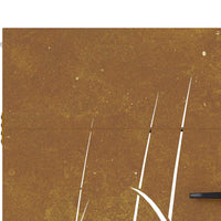 Cancello da Giardino 85x200 cm in Acciaio Corten Design Erba