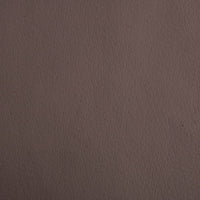 Lettino per Cani Marrone 70x45x30 cm in Similpelle