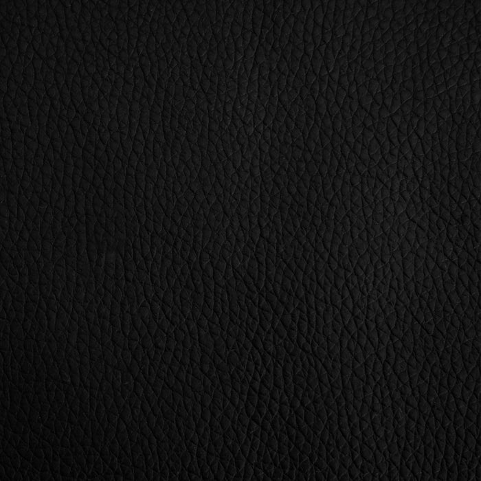 Comodo divano letto per cani con estensione 100 x 50 x 30 cm in similpelle Nero 02_0043067