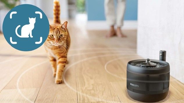 Philips 3000 series fontanella d'acqua pet series paw3210/02