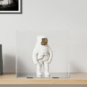 Scatola espositiva trasparente 40x36x35 cm in acrilico 154916