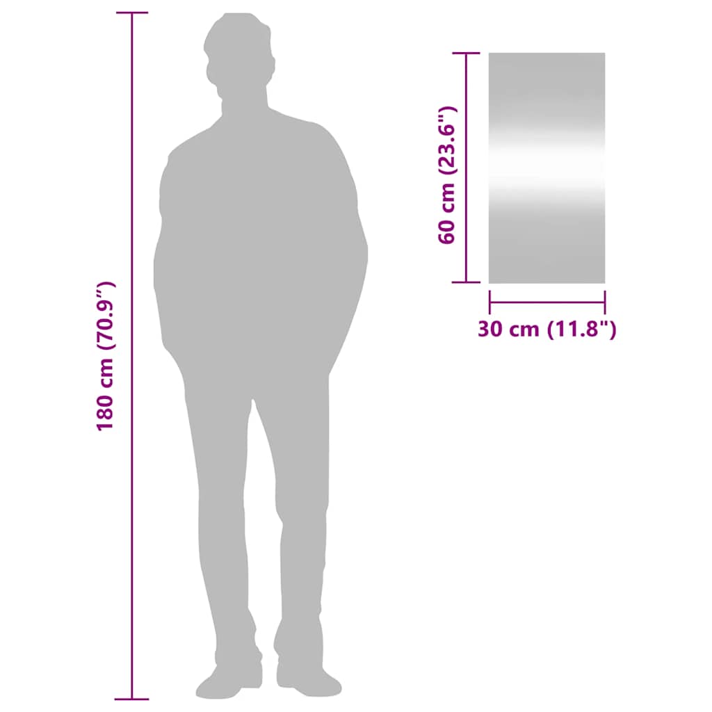 vidaXL Specchio da Parete 30x60 cm Vetro Rettangolare