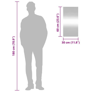 vidaXL Specchio da Parete 30x60 cm Vetro Rettangolare