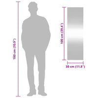 Specchio da Parete 30x100 cm Vetro Rettangolare 350445