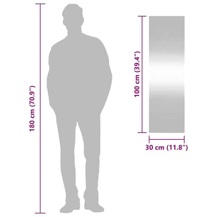 Specchio da Parete-Specchio a Muro-Specchio Decorativo 30x100 cm Vetro Rettangolare