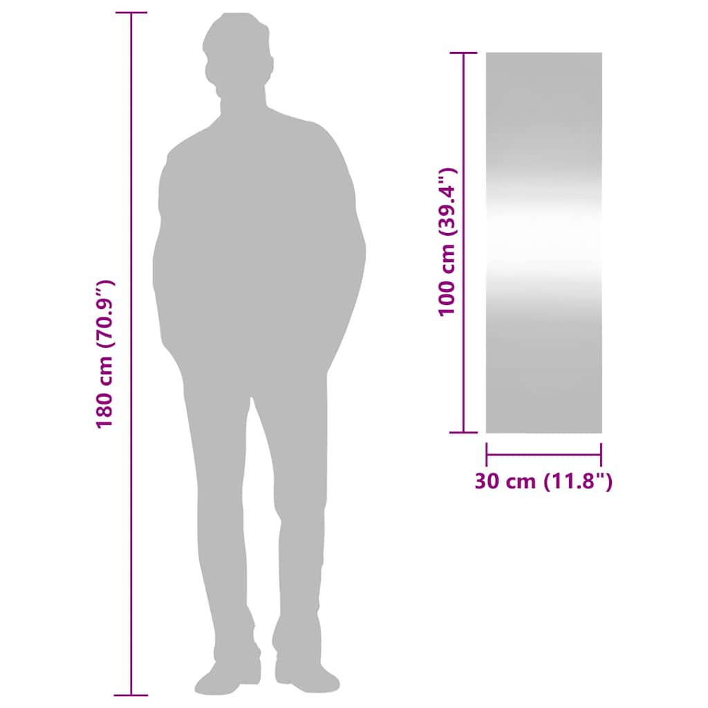 Specchio da Parete 30x100 cm Vetro Rettangolare