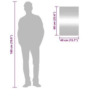 Specchio da Parete 40x60 cm Vetro Rettangolare 350446