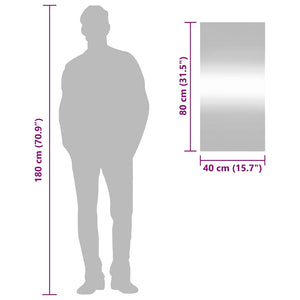 vidaXL Specchio da Parete 40x80 cm Vetro Rettangolare