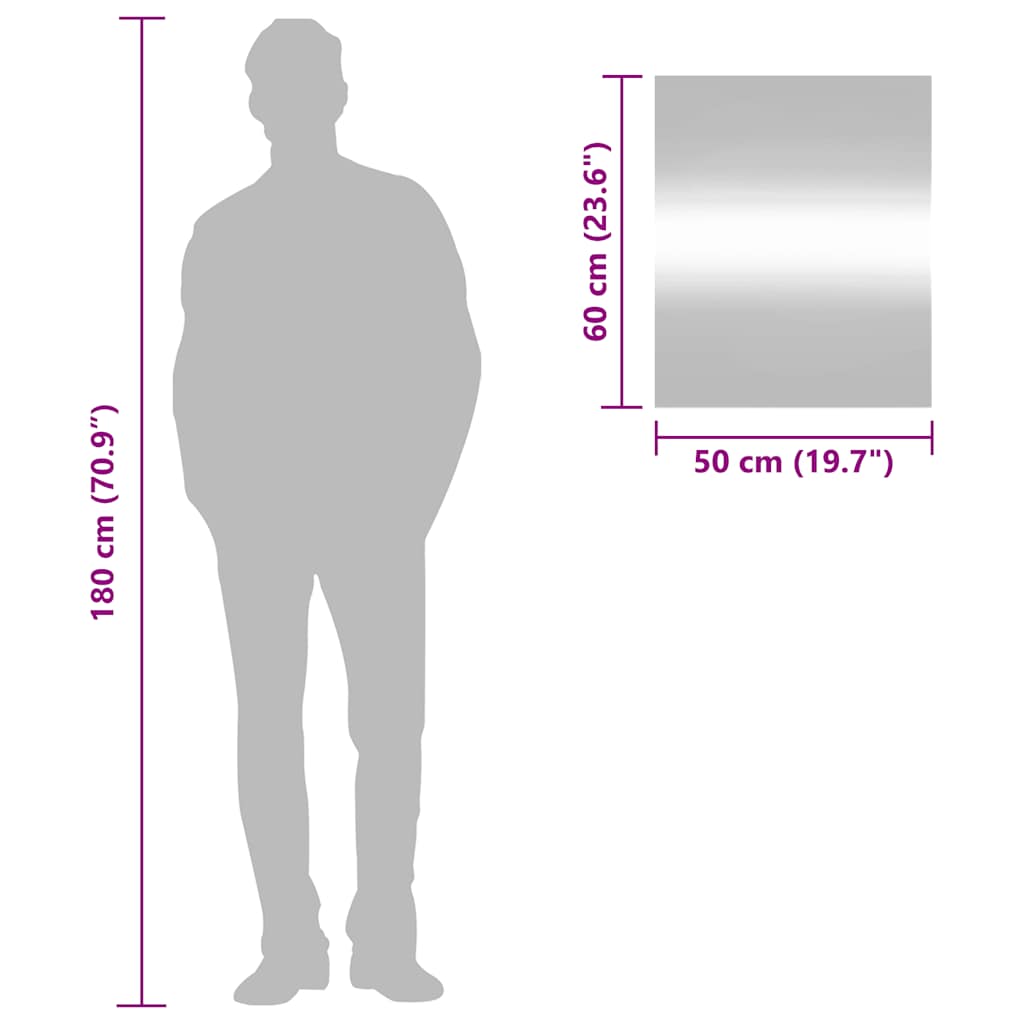 vidaXL Specchio da Parete 50x60 cm Vetro Rettangolare