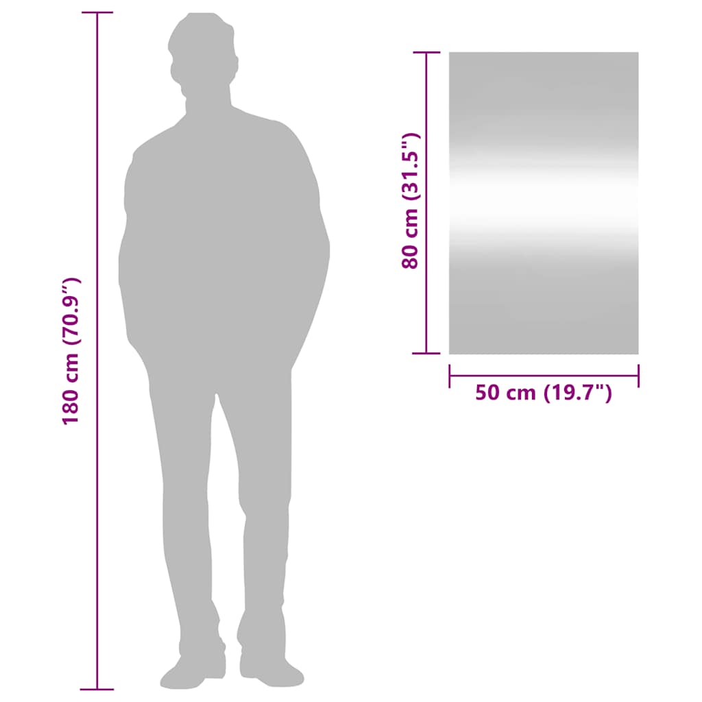 Specchio da Parete-Specchio a Muro-Specchio Decorativo 50x80 cm Vetro Rettangolare