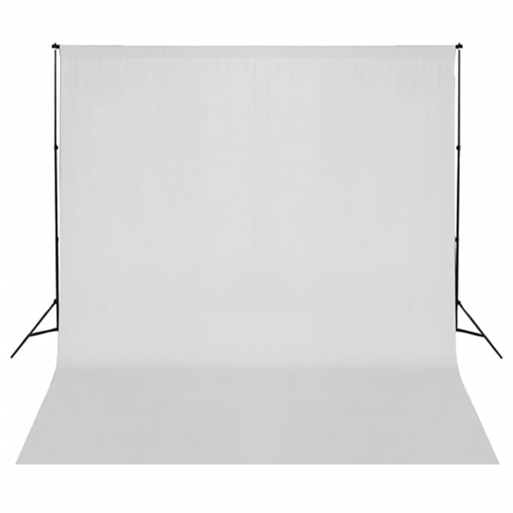 Kit per Studio Fotografico con Set Luci, Fondale e Riflettore 3143934