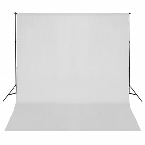Kit per Studio Fotografico con Set Luci, Fondale e Riflettore 3143934