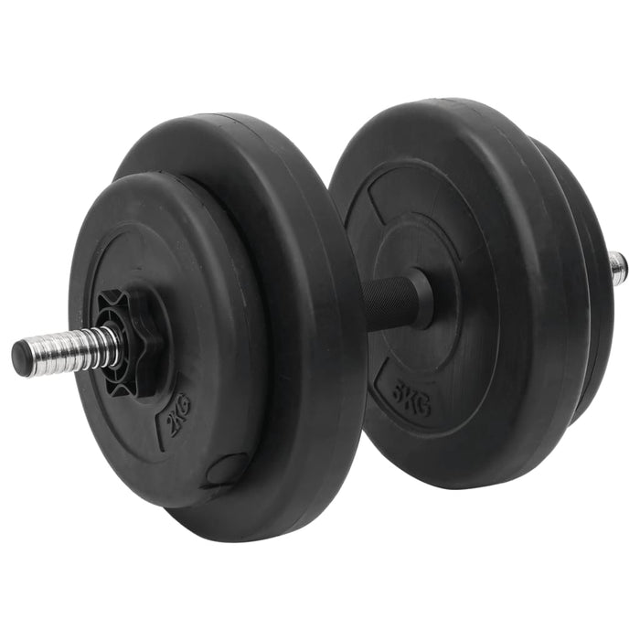Set Bilanciere Curl e Manubri con Dischi 60 kg 3145026