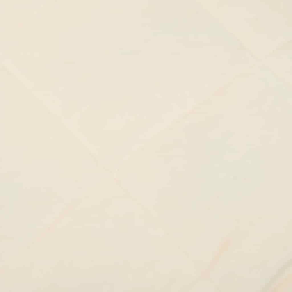 Coperta Ponderata Crema Chiaro 200x200 cm 9 kg Tessuto 350814