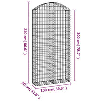 Gabbione cesto gabbia recinzione muro di contenimento ad arco 100 x 30 x 200/220 cm ferro zincato Argento 02_0039955