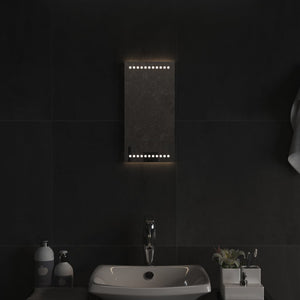 Specchio da Bagno con Luci LED 20x40 cm 3154043