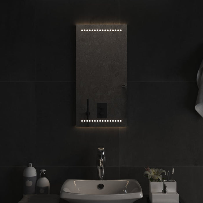 Specchio da Bagno con Luci LED 30x60 cm 3154045