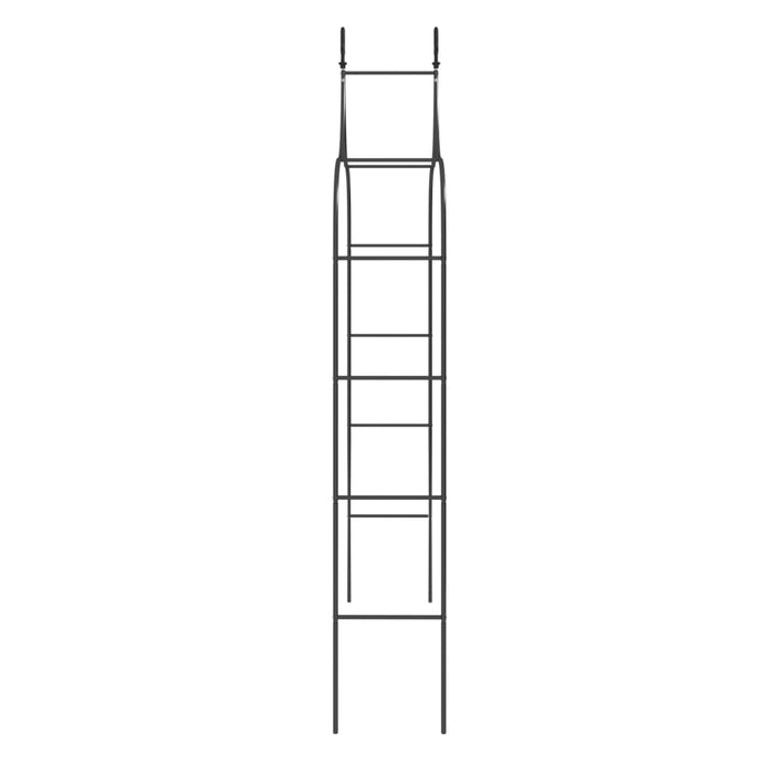 Archi da Giardino 2 pz Neri 120x38x260 cm Acciaio 319349