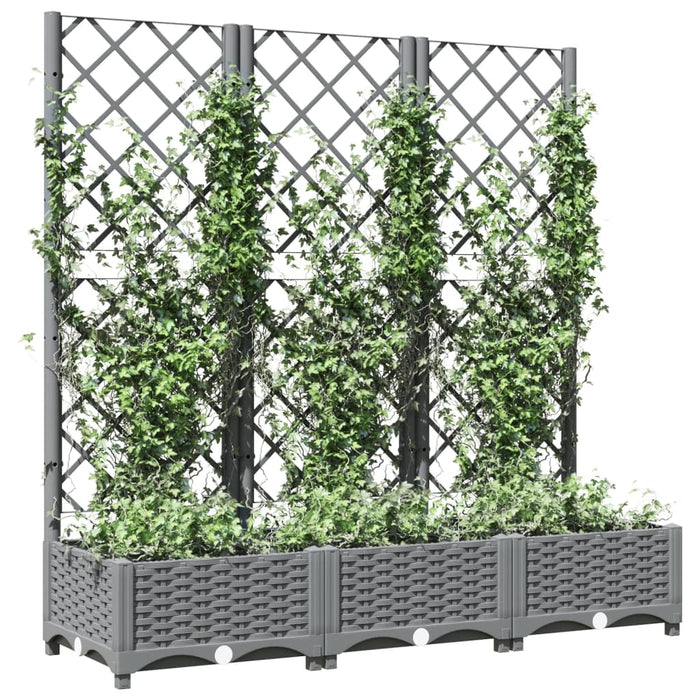 Fioriera Giardino e Graticcio Grigio Chiaro 120x40x121,5cm PP 153273