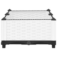 Fioriera Rialzata 80x40x23 cm in Polipropilene 153305