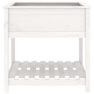 Fioriera rialzata per giardino e terrazza con ripiano 825 x 825 x 81 cm in legno massello di pino bianco 02_0038412