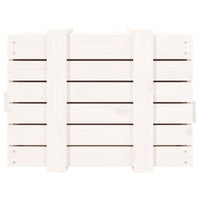 Contenitore Portaoggetti Bianco 58x40,5x42 cm Massello di Pino