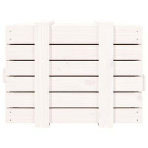 Contenitore Portaoggetti Bianco 58x40,5x42 cm Massello di Pino 824994