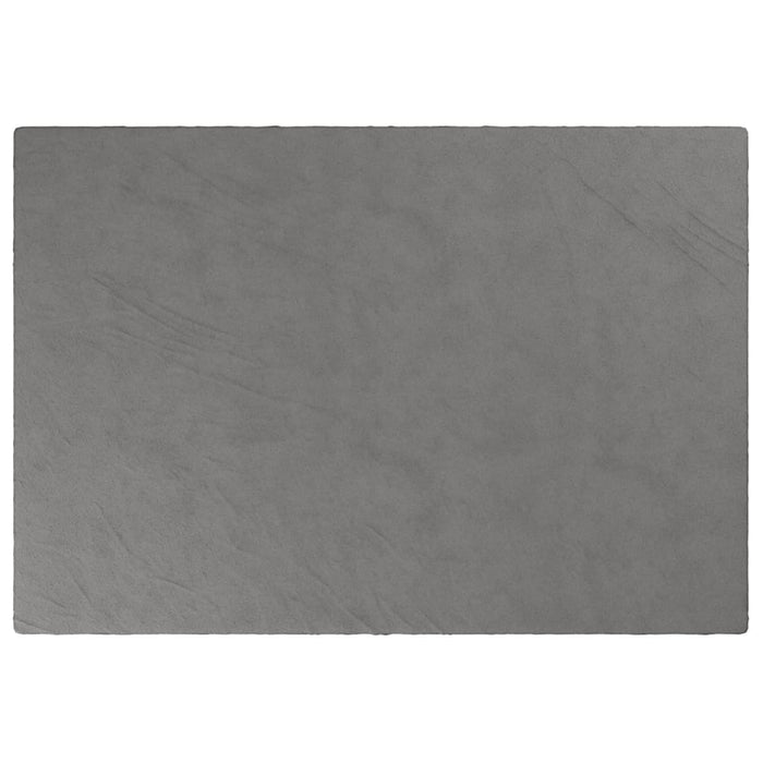 Coperta Ponderata con Copertura Grigia 135x200 cm 10 kg Tessuto 3154888