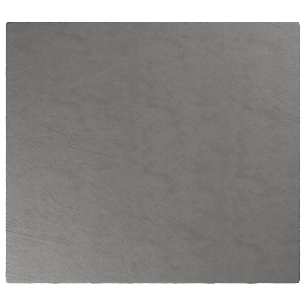 Coperta Ponderata con Copertura Grigia 200x230 cm 13 kg Tessutocod mxl 93467