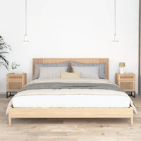 Comodini 2 pz 40x30x55,5 cm Legno Multistrato e Ferro 352096