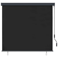vidaXL Tenda a Rullo Esterna Rigato Antracite 180 x 250 cm Tessuto