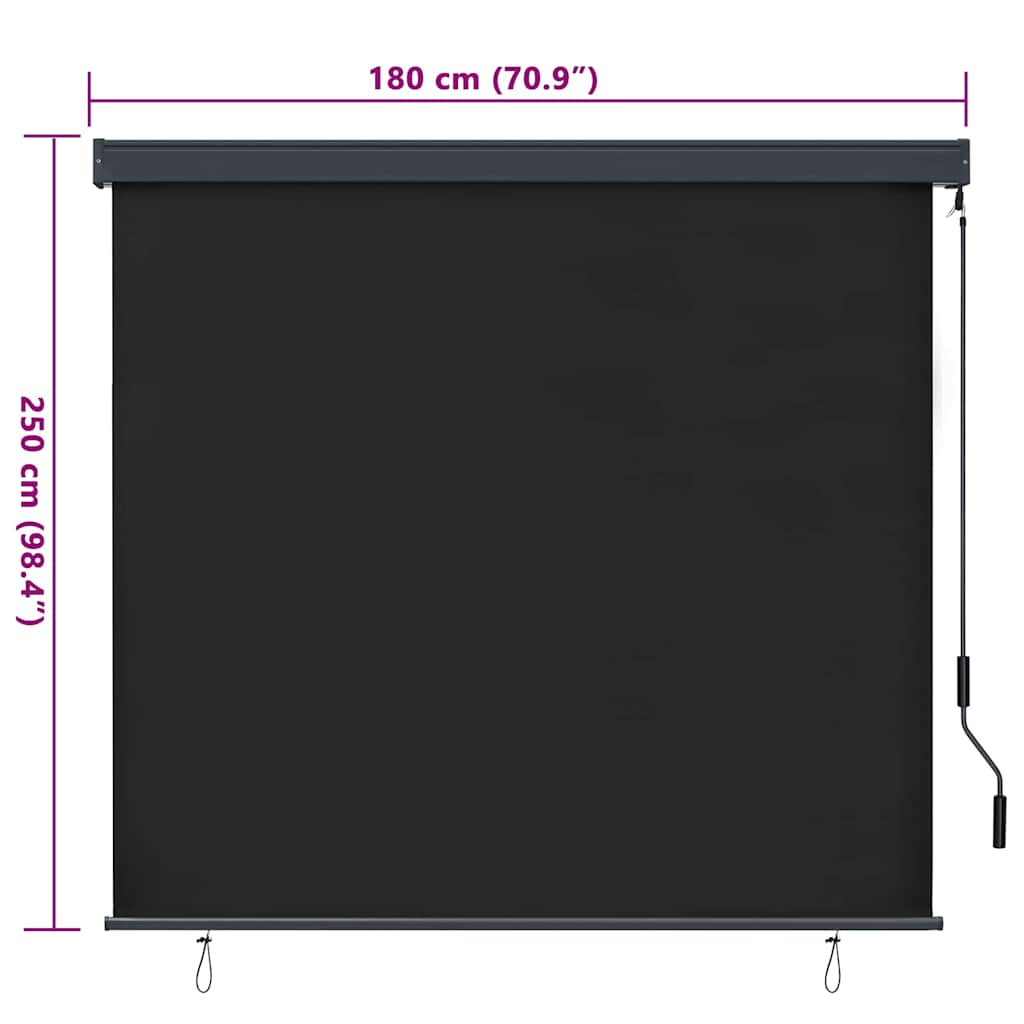 vidaXL Tenda a Rullo Esterna Rigato Antracite 180 x 250 cm Tessuto