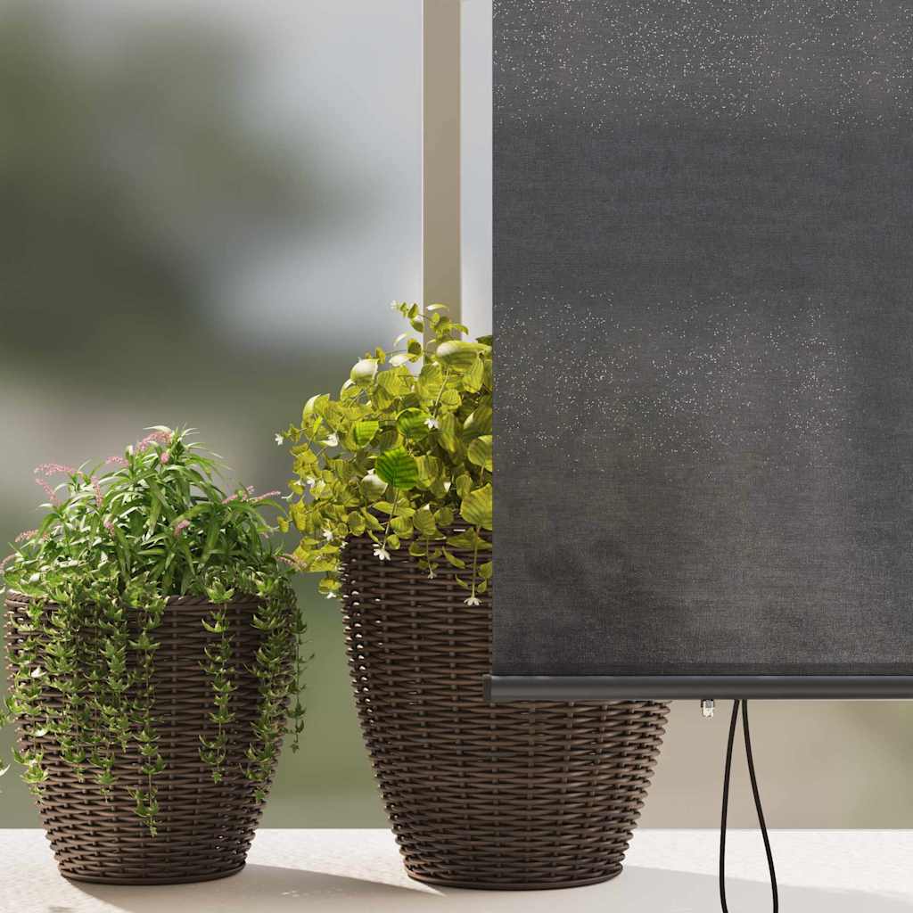 vidaXL Tenda a Rullo Esterna Striped Antracite 220 x 250 cm Tessuto