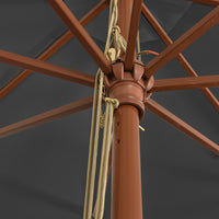 Ombrellone da Giardino con Palo in Legno Antracite 400x273 cm 363177