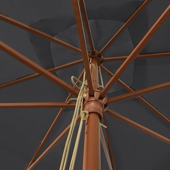 Ombrellone da Giardino con Palo in Legno Nero 300x300x273 cm 363197