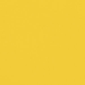 Rimorchio per il trasporto di animali domestici in bicicletta colore giallo 02_0044310