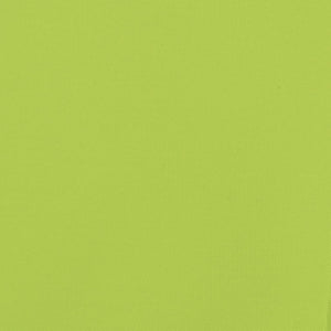 Rimorchio portabiciclette per animali domestici verde 02_0044296