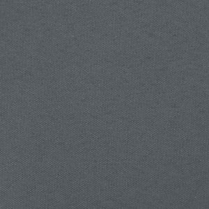 Sedie da Giardino con Cuscini 2pz Legno Massello di Pino Nero 825447