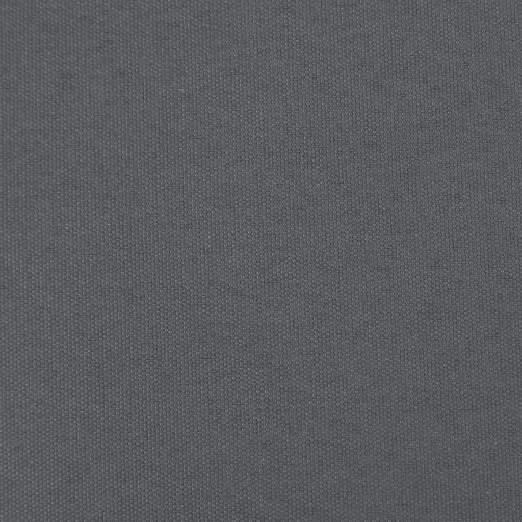 Sedie da Giardino con Cuscini 2pz Legno Massello di Pino Nero 825566