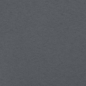 Sedie da Giardino con Cuscini 2pz Legno Massello di Pino Nero 825566