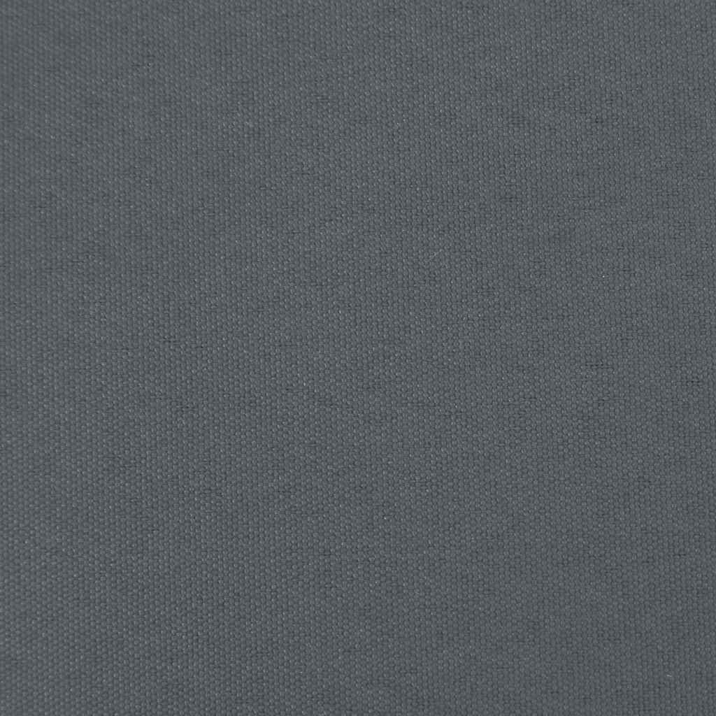 Sedie da Giardino con Cuscini 2pz Legno Massello di Pino Nero 825594