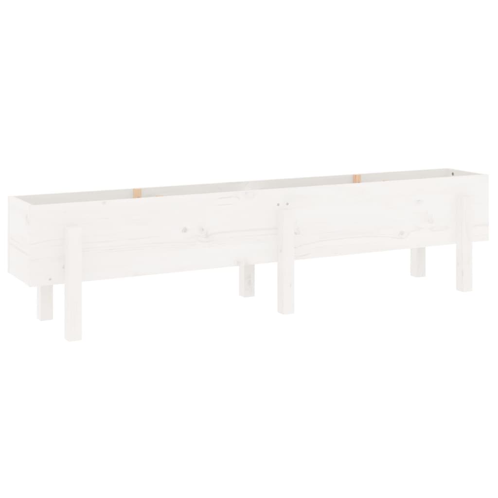 Vassoio per fioriera aiuola rialzata piante fiori terrazza giardino giardino 160 x 30 x 38 cm legno massello di pino bianco 02_0039368