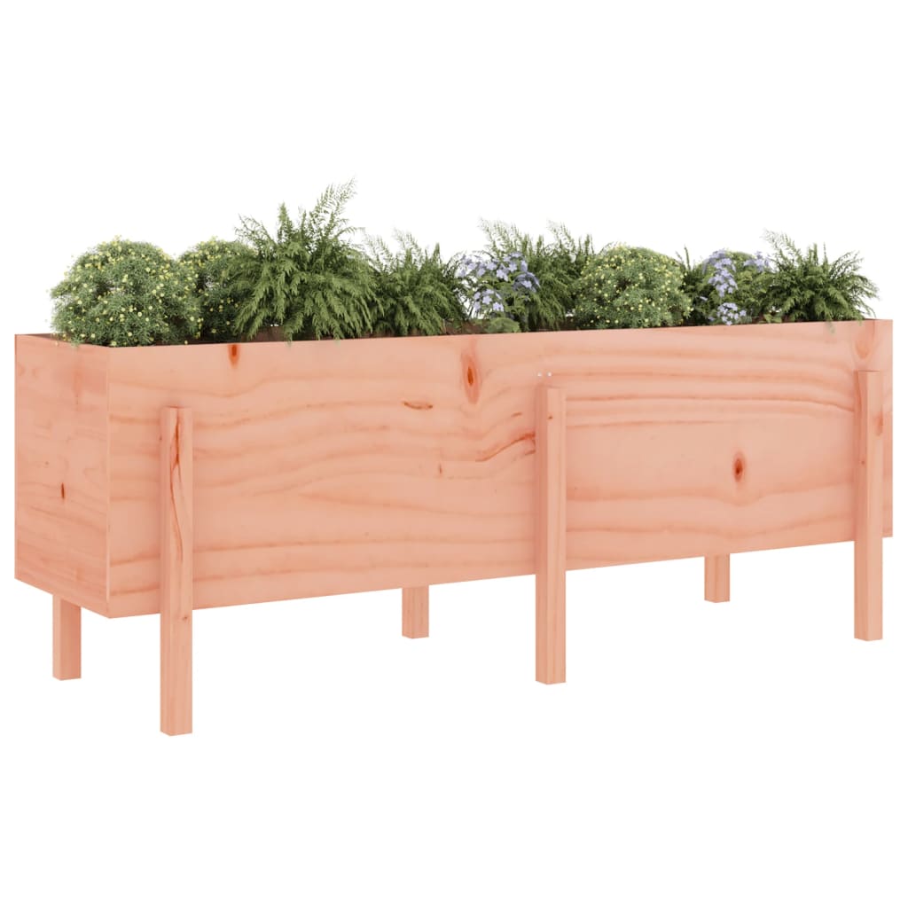 Fioriera Rialzata Giardino-Vaso da Esterno-Supporto per Vaso 160x50x57 cm Legno Massello Douglas