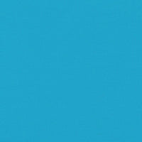 Rimorchio da Bici Blu Oxford e Ferro 94163