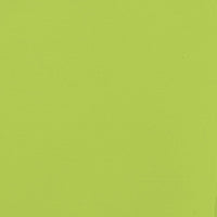 Rimorchio da Bici Verde Oxford e Ferro