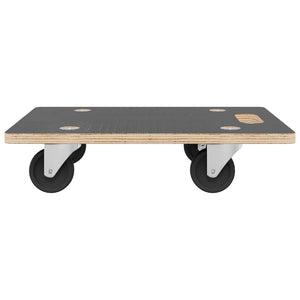 Pedane di Trasporto 2 pz Rettangolari 50x35x11,5 cm 250 kg 154889