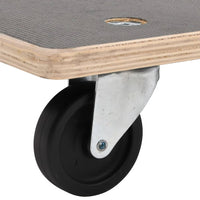 Pedane di Trasporto 2 pz Rettangolari 50x35x11,5 cm 250 kg 154889