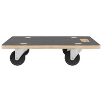 Pedane di Trasporto 2 pz Rettangolari 80x55x11,5 cm 250 kg