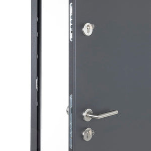 Porta Ingresso Antracite 90x200 cm in Alluminio 3190537