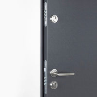 Porta Ingresso Antracite 110x207,5 cm in Alluminio 3190540
